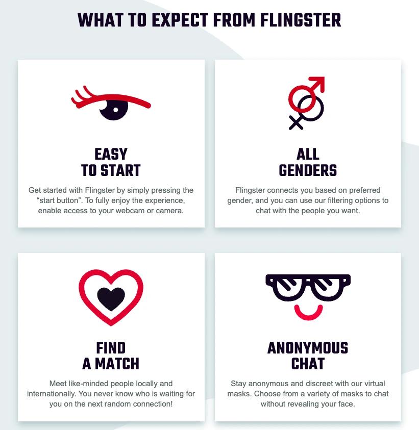 Flingster's features