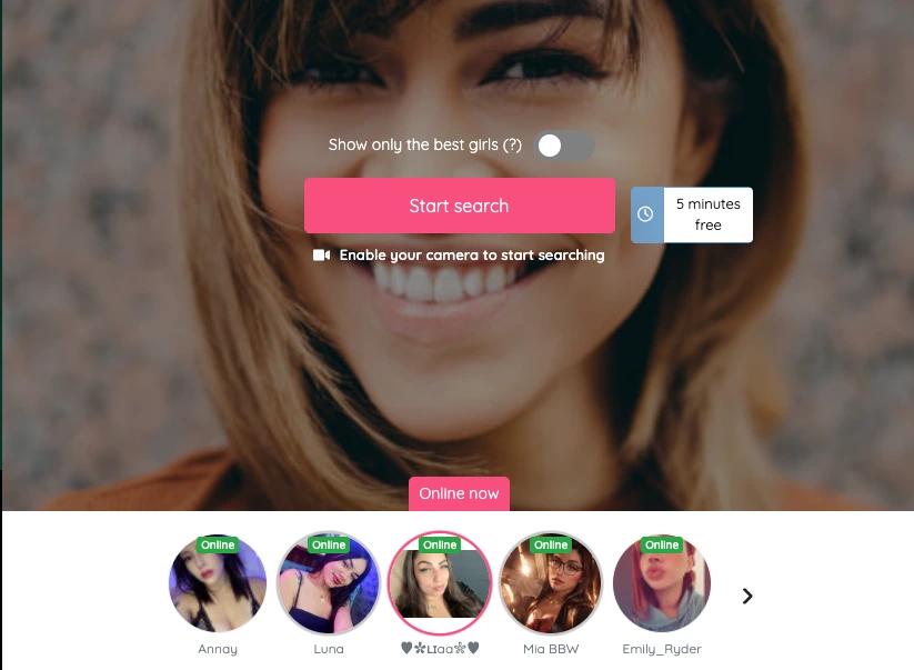 Key Features of Flirtbees That Make It Stand Out